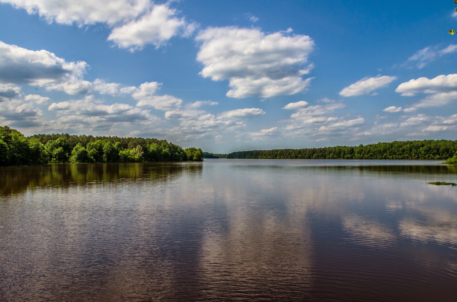Dinwiddie County Virginia's Gateway Region